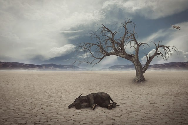 지구온난화의 미래를 표현한 사막화, 죽음